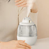 MJ010 USB Air Humidifier Home Small Bedroom Desktop Carousel Air Humidifier with Music Box,  USB Plug-in Type(Pink)