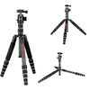 BEXIN BX285C K36 Portable Carbon Fiber Tripod for Dslr Digital DV Camcorder