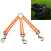 TPU Double Dog Lead - Tangle-Free, 25cm (Orange)