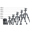 BEXIN Mate 10 Desktop Mini Ball Head Camera Tripods for DSLR Slr Camera