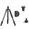 BEXIN W284C H36 Carbon Fiber Professional Photo Tripod for DSLR Camera