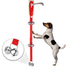 Dog Training Bell with Leash - 7 Bells - Red