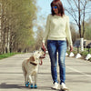 HCPET Dog Rain Boots, Orange, Size 7 (8cm), Non-Slip, Waterproof