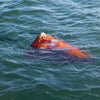 PVC Traction Drift Brake Fishing Sea Anchor, Size: 24 inch Orange