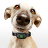 Auto Stop Bark Collar for Dogs - Black - Waterproof IPX7