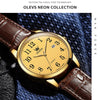 OLEVS 5566 Men Simple Single Calendar Waterproof Quartz Watch(Gold)
