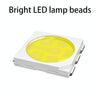 2 PCS 27mm 6 LED 5050 SMD Car Reading Light Bulb(Blue Light)