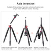 TRIOPO 888 Adjustable Portable Carbon Fiber Tripod with Q-2 Ball Head for SLR Camera, Pipe diameter: 28cm