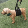 Dog Lifting Harness Support Belt for Senior & Disabled Dogs - Small, Black