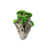 Floating Pumice Aquarium Ornament - Small (5.8x9.2cm)