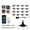 F16C 16 LEDs RGB Bluetooth String Lights Outdoor Waterproof Buried Lamp, US Plug(Black)