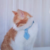 Cat & Dog Denim Bow Tie Collar, Light Blue, Small, Adjustable, 16-32cm