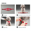 Pet Dog Collar + Harness + Leash Three Sets, M, Harness Chest Size: 43-67cm, Collar Neck Size: 33-52cm, Pet Weight: 15kg Below (Purple)