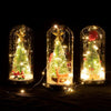 Christmas Cedar Window Display Glass Cover LED Light Ornaments(Star Deer)