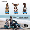 Waterproof Dog Training Collar with Remote - Black (One Dog)