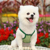 Avocado Green Mesh Pet Vest Set, 2pcs, XXL, Breathable, Small Dogs/Cats