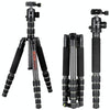 BEXIN BX285C K36 Portable Carbon Fiber Tripod for Dslr Digital DV Camcorder