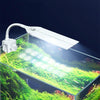 ZHIYANG ZY-10F4 LED Aquarium Clip Light, Wide Angle, EU Plug, 19-35cm Tank