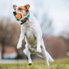 O3 Automatic Self-Moving Luminous Pet Ball Toy (Yellow/Blue) - Dogs & Cats