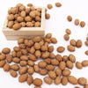 10 PCS 1:12  Mini House Toy Fruit Simulation Kiwi Kitchen Accessory Mini House Toy(Brown)