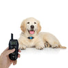 Dog Training Collar - T700 Shock Collar with Remote & Beep