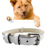 White Leather Dog Collar, XL (3x60cm) - Strong & Durable