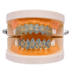 Halloween Vampire 8 Zircon Hip Hop Braces, Colour: Gold Lower Teeth