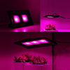 50W Ultra-Thin LED Plant Light, Full Spectrum COB Growth Light, Vegetable, Fruit & Flower Greenhouse Fill Light Without Plug