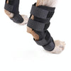 DogLemi PD60041 Dog Hock Brace Pet Supportive Rear Dog Compression Leg Joint Wrap Protects Wounds and Injury, Size:S