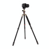 Triopo MT-2504C Adjustable Portable Aluminum Tripod (Gold) with NB-1S Ball Head (Black) for Canon Nikon Sony DSLR Camera