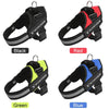 Black Dog Harness L (23-30kg) - Oxford Cloth, Reflective, Heavy Duty
