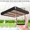 Large 169 LEDs Quantum Plant Growth Lighting Outdoor Full Spectrum Planting Lamp(EU Plug)