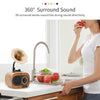 B5 Retro Phonograph Design Portable Wireless Stereo Speaker