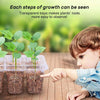 12-Hole Heightened Succulent Vegetable Seedling Pot With Lid(Black)