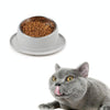Non-Slip Stainless Steel Cat & Dog Bowl, Green