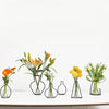 Black Iron Flower Vase Frame Plant Holder, Decorating Indoor Cafe Home, Size: 12cm x 23cm