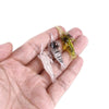 5pcs /Pack HENGJIA SO064 Imitation Grass Shrimp Dummy Bait Lua Fishing Soft Lures, Size: 4cm 1.5g(White Gray)