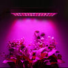 45W 144LEDs Full Spectrum Plant Lighting Fitolampy For Plants Flowers Seedling Cultivation Growing Lamps LED Grow Light AC85-265V EU