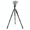 Triopo MT-2505C Adjustable Portable Aluminum Tripod with NB-1S Ball Head for Canon Nikon Sony DSLR Camera(Black)