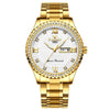 FNGEEN S888 Men Local Non Mechanical Solid Belt Watch Luminous Quartz Watch(Full Gold White Surface)
