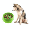 Slow Feeder Dog Bowl, Green, Anti-Choking, 22cm