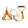 Orange Dog Collar, Harness & Leash Set - Small (Up to 8kg)