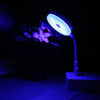 100LM LED USB Portable Desk Lamp (Blue Light)