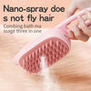 Electric Pet Grooming Brush with Spray - Purple