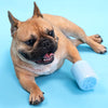 Large Green Paw Cleaner for Dogs & Cats - Silicone Foot Washing Cup