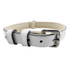 White Leather Dog Collar, XL (3x60cm) - Strong & Durable