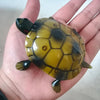 9993 Infrared Sensor Remote Control Simulated Tortoise Creative Children Electric Tricky Toy Model (Yellow)