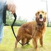 30m Long Dog Tracking Leash - 2.5cm Wide, Black