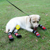 Waterproof Dog Boots XL Blue - Long Tube Winter Snow Boots for Medium/Large Dogs