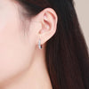 Platinum-plated Zircon Sterling Silver Jewelry Earrings